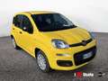 Fiat Panda New 1.0 70cv Hybrid Panda Giallo - thumbnail 2