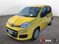 Fiat Panda New 1.0 70cv Hybrid Panda Giallo - thumbnail 1