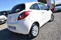 Ford Ka/Ka+ 1.2 69CV CLIMA KM REALI OK NEOPATENTATI Bianco - thumbnail 7