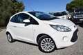 Ford Ka/Ka+ 1.2 69CV CLIMA KM REALI OK NEOPATENTATI Bianco - thumbnail 1
