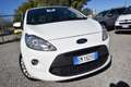 Ford Ka/Ka+ 1.2 69CV CLIMA KM REALI OK NEOPATENTATI Bianco - thumbnail 2
