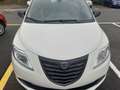 Lancia Ypsilon Ypsilon 1.2 8v Elefantino 69cv my14 Bianco - thumbnail 2
