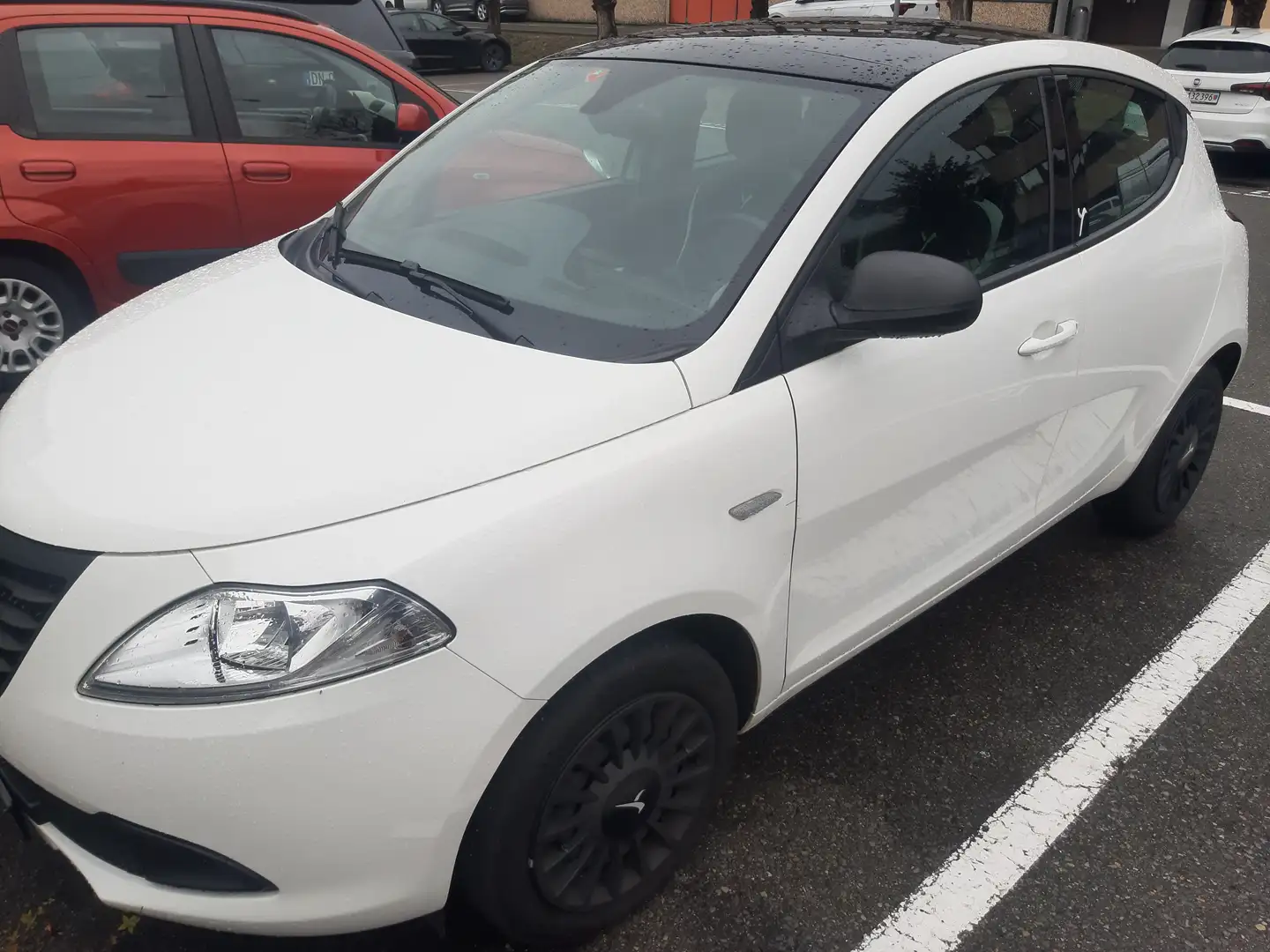 Lancia Ypsilon Ypsilon 1.2 8v Elefantino 69cv my14 Bianco - 1