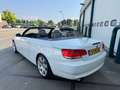 BMW 320 3-serie Cabrio 320i High Executive Automaat ! Wit - thumbnail 3