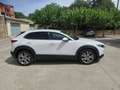 Mazda CX-30 CX-30 2.0 Skyactiv-G Zenith 2WD 90kW Zenith Blanco - thumbnail 3
