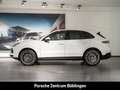 Porsche Cayenne S Platinum Edition BOSE Panoramadach LED Weiß - thumbnail 2