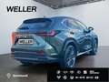 Lexus NX 350h E-FOUR Luxury Line *WKR*Pano*Levinson*HUD* Vert - thumbnail 19