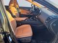 Lexus NX 350h E-FOUR Luxury Line *WKR*Pano*Levinson*HUD* Vert - thumbnail 21