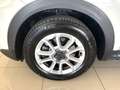 Fiat 500X 500X 1.6 MultiJet 120 CV DCT Lounge Weiß - thumbnail 7