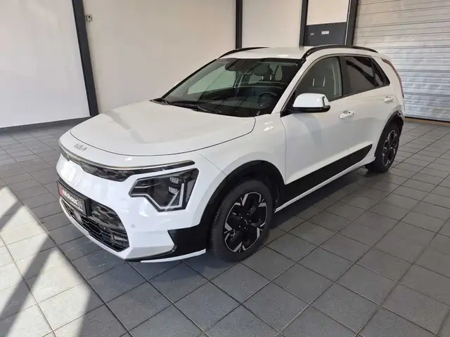 Kia e-Niro view 3