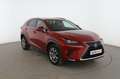 Lexus NX 300h Executive 4WD Rojo - thumbnail 8