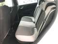 Fiat Punto 1.4 8V 5 porte Easypower Lounge Bianco - thumbnail 12