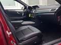 Mercedes-Benz E 250 E250d T FL|LED|XL-Navi|AbsTemp|Leder|PDC|SHZ|AHK Rot - thumbnail 19