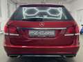 Mercedes-Benz E 250 E250d T FL|LED|XL-Navi|AbsTemp|Leder|PDC|SHZ|AHK Rot - thumbnail 5