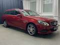 Mercedes-Benz E 250 E250d T FL|LED|XL-Navi|AbsTemp|Leder|PDC|SHZ|AHK Rot - thumbnail 3