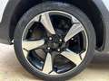 Ford Fiesta 1.0 ecoboost hybrid Titanium s&s 125 CV my20.75 Bianco - thumbnail 15