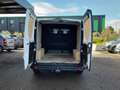 Renault Trafic CABINE APPROFONDIE L2H1 DCI 150 GRAND CONFORT PRIX 21000 HT Blanc - thumbnail 8