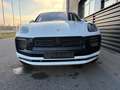 Porsche Macan GTS-PANO-BURMESTER-PAS-STANDHEIZUNG-1.HAND Weiß - thumbnail 5