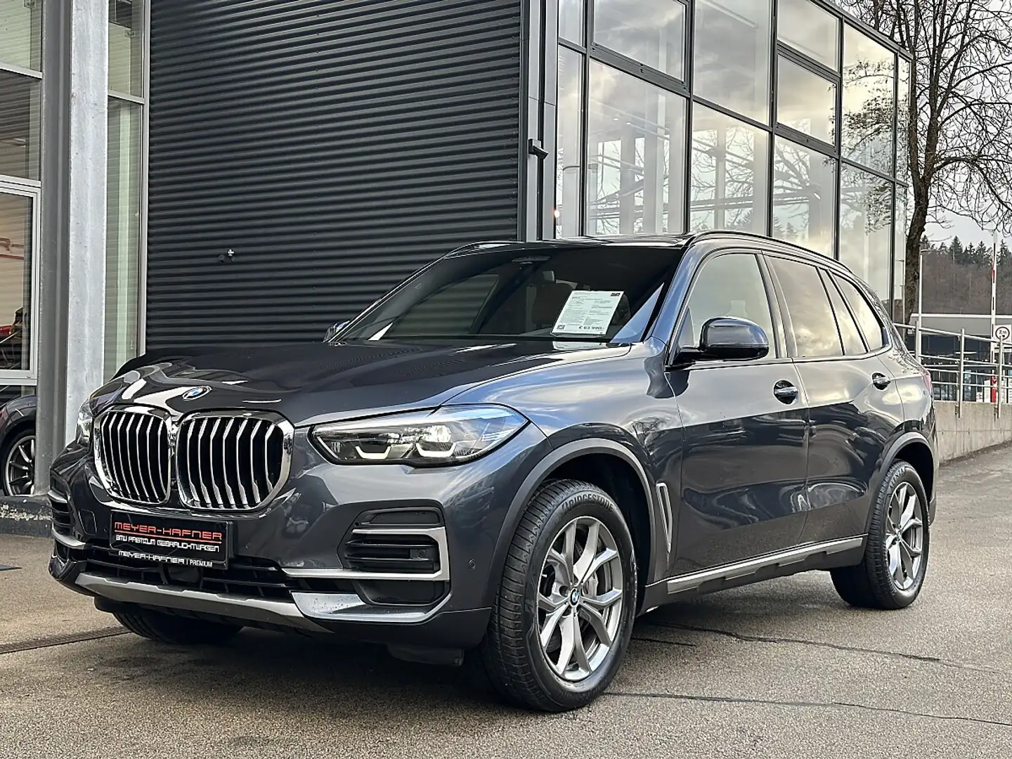 BMW X5 xDrive40d xLine Aut. / Wärmepaket / Head Up / A... Grau - 2
