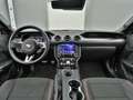 Ford Mustang GT Cabrio V8 California Special -21%* Grey - thumbnail 12