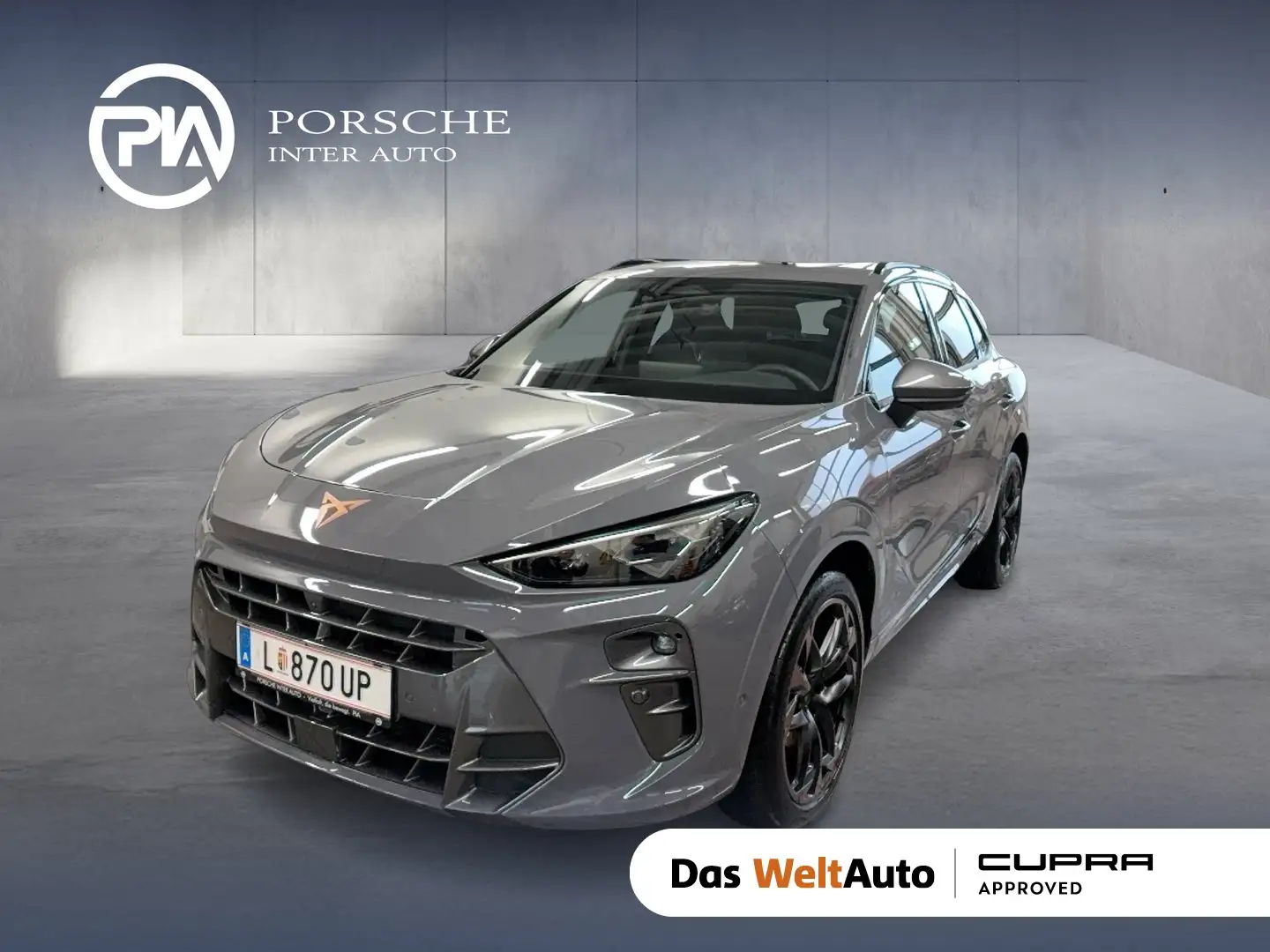 CUPRA Terramar VZ 2.0 TSI 265 PS DSG 4Drive Grau - 1