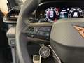 CUPRA Terramar VZ 2.0 TSI 265 PS DSG 4Drive Grau - thumbnail 18