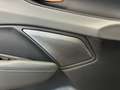 CUPRA Terramar VZ 2.0 TSI 265 PS DSG 4Drive Grau - thumbnail 14