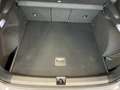 CUPRA Terramar VZ 2.0 TSI 265 PS DSG 4Drive Grau - thumbnail 4