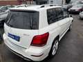 Mercedes-Benz GLK 220 GLK 220 CDI BlueEfficiency 4Matic (204.984) Blanc - thumbnail 3