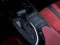 Lexus UX 250h F-Sport 2wd cvt Gris - thumbnail 9