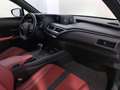 Lexus UX 250h F-Sport 2wd cvt Grigio - thumbnail 7