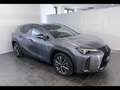 Lexus UX 250h F-Sport 2wd cvt Grigio - thumbnail 3