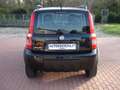 Fiat Panda 1.2 4x4 Climbing MOTORE FIRE 51 Kw Nero - thumbnail 6