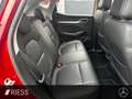 MG ZS Luxury Navi LED Pano Keyless Leder Spur Kamera Roşu - thumbnail 13