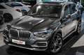 BMW X5 xDrive 40i*Individual*360*2xAchs*Softc*Pano* Gris - thumbnail 20