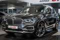 BMW X5 xDrive 40i*Individual*360*2xAchs*Softc*Pano* Gris - thumbnail 1