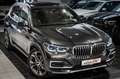 BMW X5 xDrive 40i*Individual*360*2xAchs*Softc*Pano* Gris - thumbnail 10