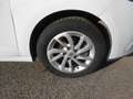 Renault Scenic Scenic III X-Mod 2012 X-Mod 1.5 dci Wave 110cv Bianco - thumbnail 14