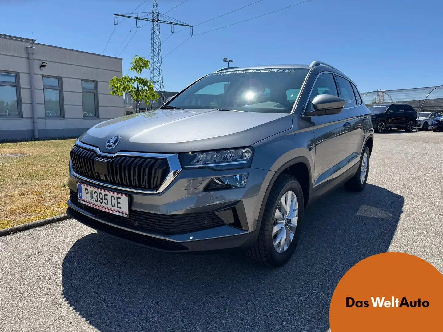 Skoda Karoq Selection TSI Gris - 1