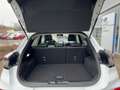 Ford Puma Titanium X 1,0 l EcoBoost MHEV 155 PS Blanco - thumbnail 6