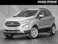 Ford EcoSport Titanium 1.0 EcoBoost DAB RFK B&O Winter-Pkt. Gümüş rengi - thumbnail 1