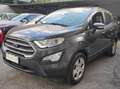Ford EcoSport EcoSport 2018 1.0 ecoboost Plus 100cv Zilver - thumbnail 1
