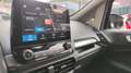 Ford EcoSport EcoSport 2018 1.0 ecoboost Plus 100cv Zilver - thumbnail 19