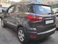 Ford EcoSport EcoSport 2018 1.0 ecoboost Plus 100cv Zilver - thumbnail 7
