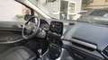 Ford EcoSport EcoSport 2018 1.0 ecoboost Plus 100cv Zilver - thumbnail 16
