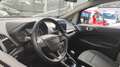 Ford EcoSport EcoSport 2018 1.0 ecoboost Plus 100cv Zilver - thumbnail 17