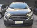 Ford EcoSport EcoSport 2018 1.0 ecoboost Plus 100cv Zilver - thumbnail 3