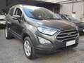 Ford EcoSport EcoSport 2018 1.0 ecoboost Plus 100cv Zilver - thumbnail 4