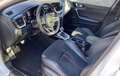 Kia ProCeed / pro_cee'd ProCeed 1.6 T-GDI DCT7 OPF GT Weiß - thumbnail 9
