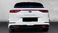 Kia ProCeed / pro_cee'd ProCeed 1.6 T-GDI DCT7 OPF GT Weiß - thumbnail 4